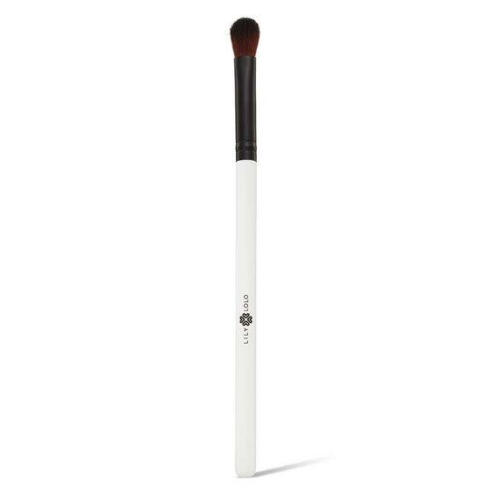 EYE SHADOW BRUSH