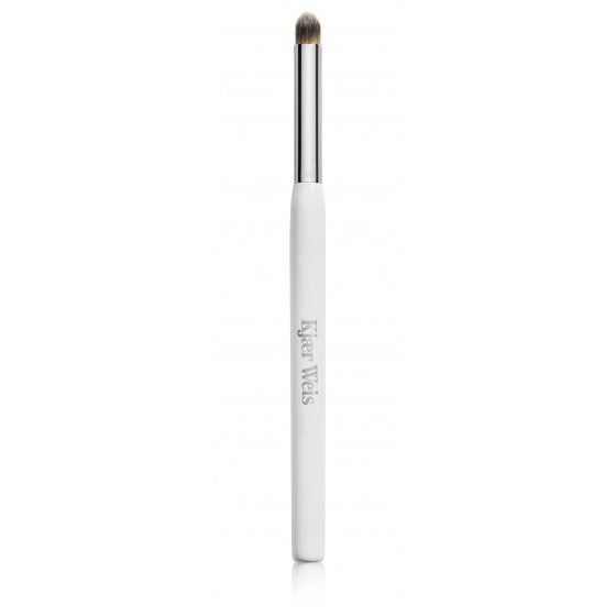 DEFINITION BRUSH